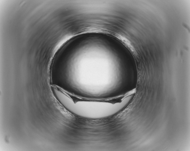 X0000094931427200712201042