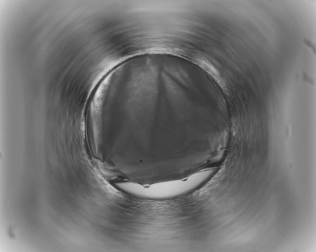 X0000094931428200712201042
