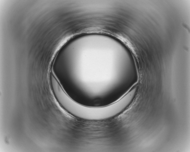 X0000094931429200712201043