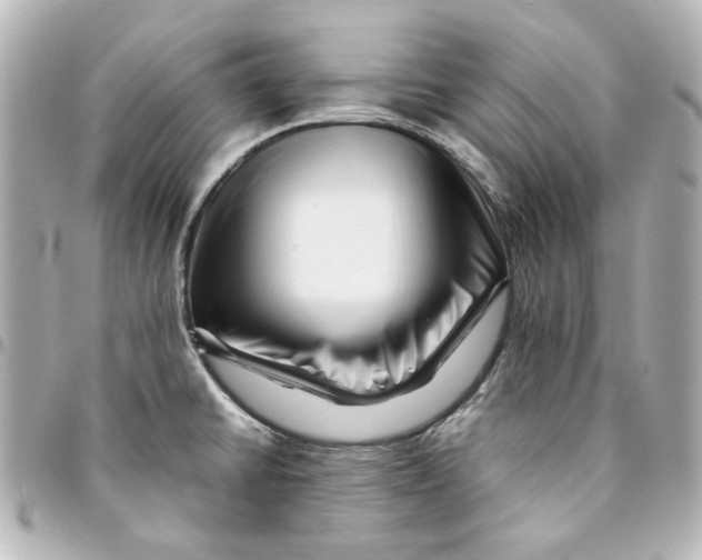X0000094931430200712201043