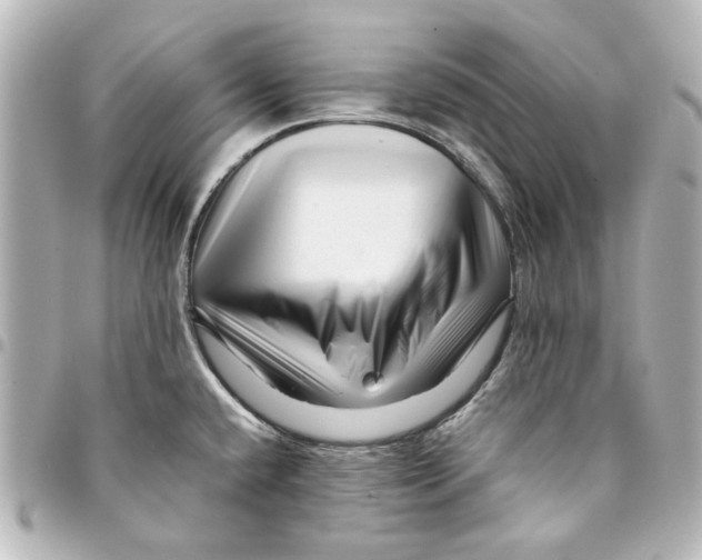 X0000094931432200712201043