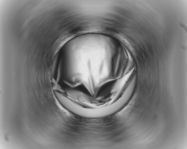 X0000094931433200712201043