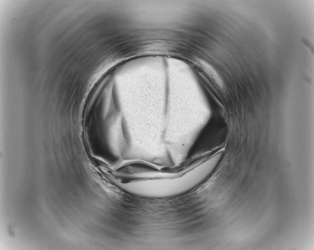 X0000094931435200712201043