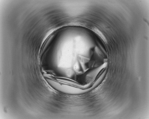 X0000094931436200712201043