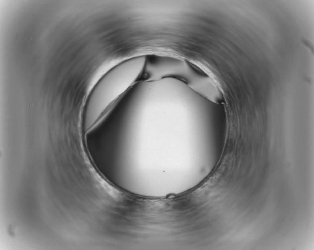 X0000094931438200712201043