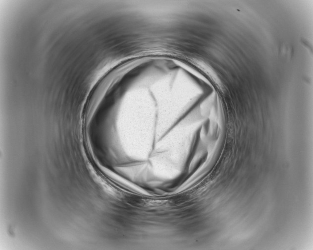 X0000094931439200712201043