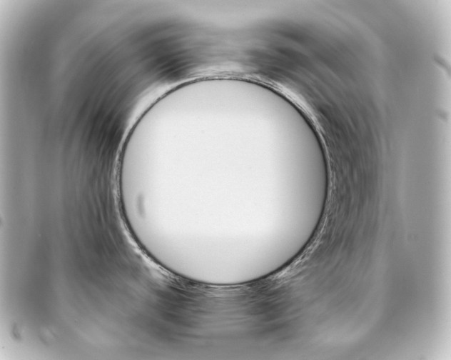 X0000094931440200712201043
