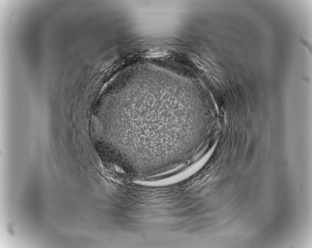 X0000094931441200712201042