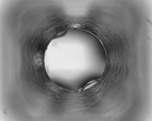 X0000094931442200712201042