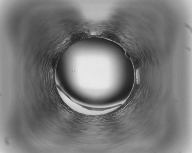 X0000094931443200712201042