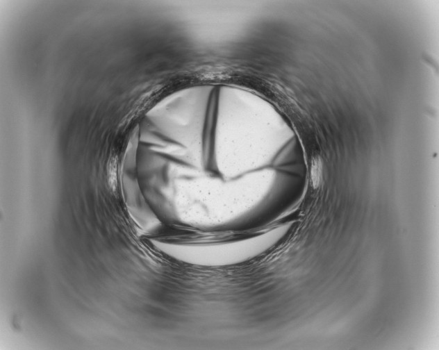 X0000094931444200712201042