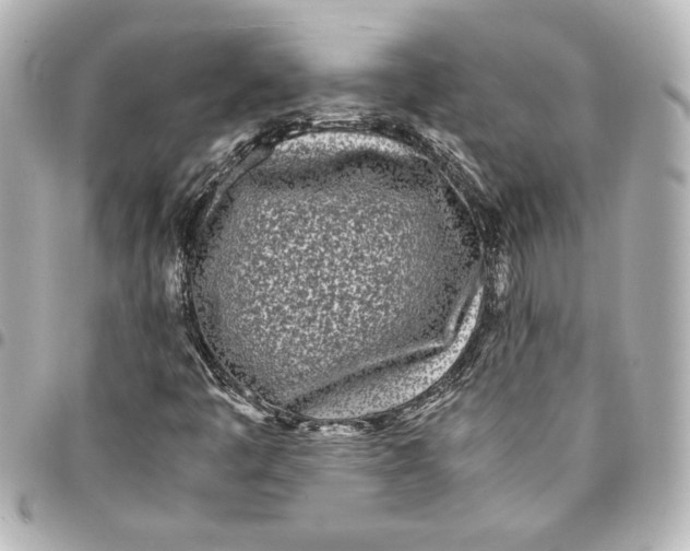 X0000094931445200712201042