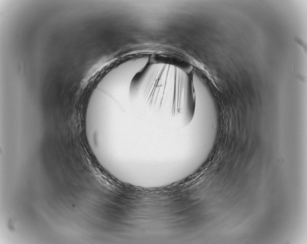 X0000094931448200712201042