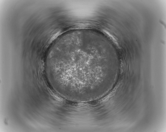 X0000094931449200712201042