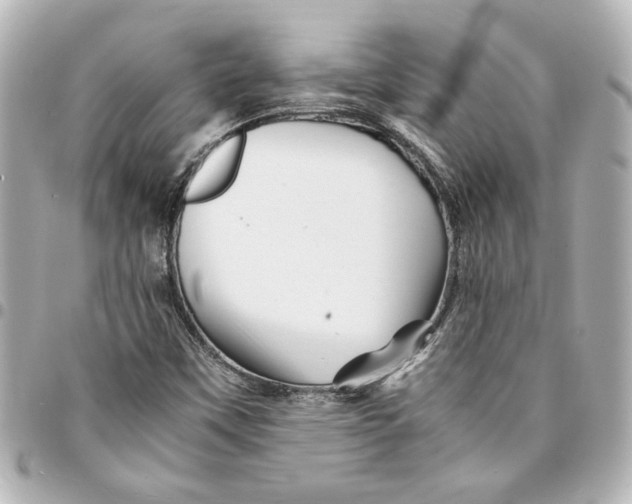 X0000094931451200712201042