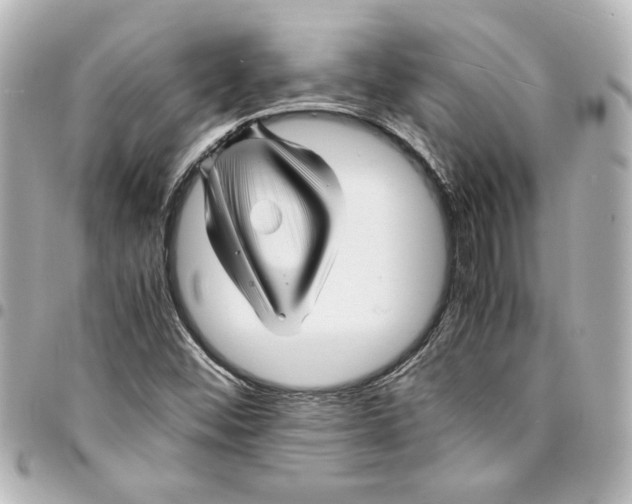X0000094931452200712201042