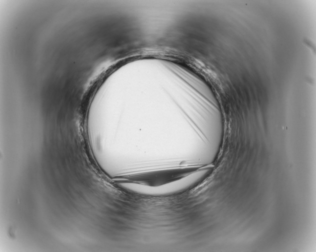 X0000094931454200712201042