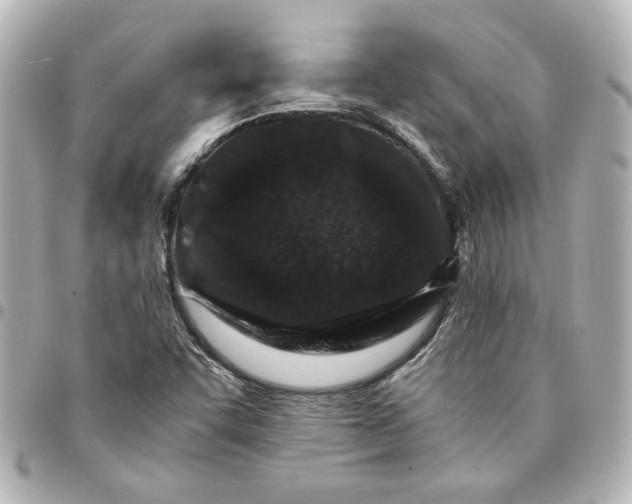X0000094931455200712201042