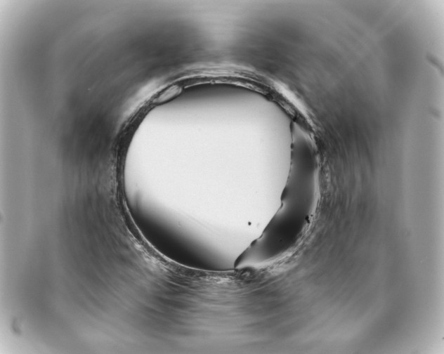 X0000094931456200712201042