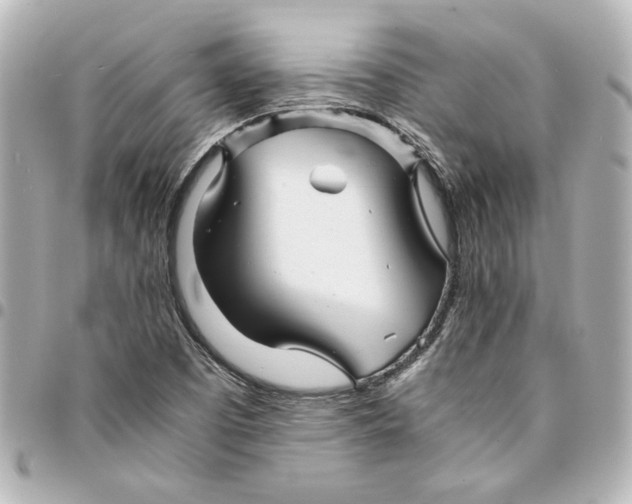 X0000094931457200712201042