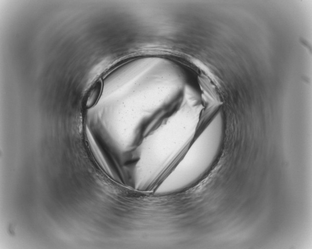 X0000094931461200712201042
