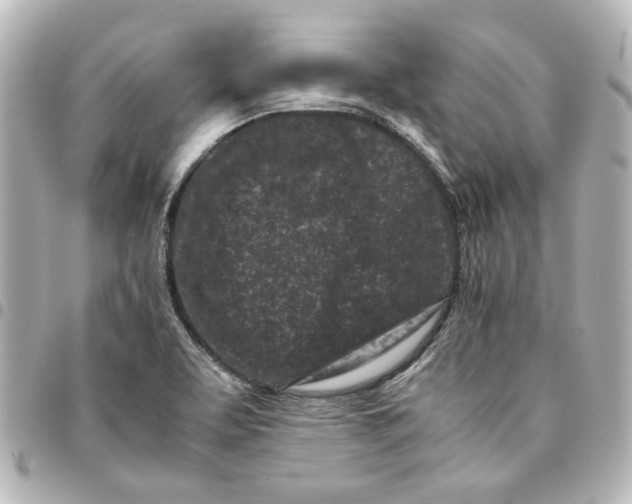 X0000094931463200712201042