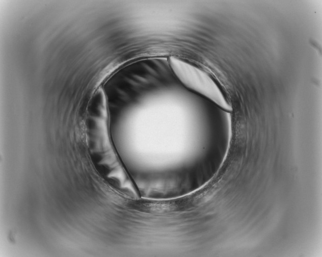 X0000094931465200712201042