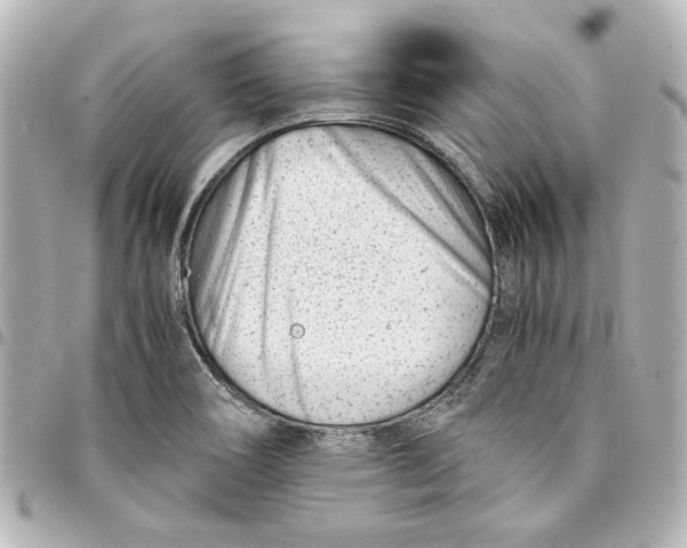 X0000094931466200712201042