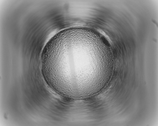 X0000094931467200712201042