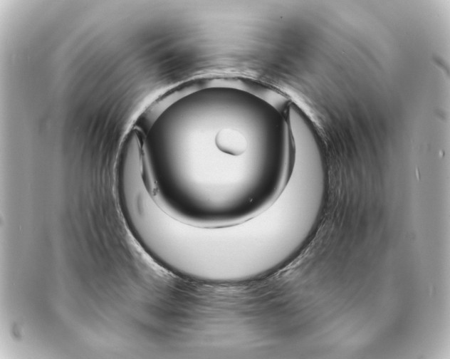 X0000094931468200712201042