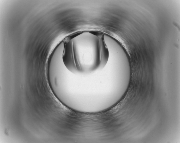 X0000094931472200712201042