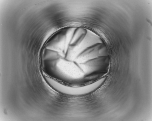 X0000094931475200712201042