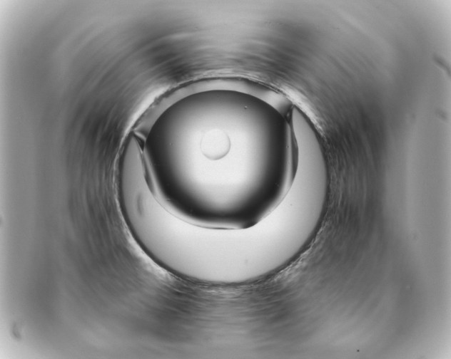 X0000094931476200712201042