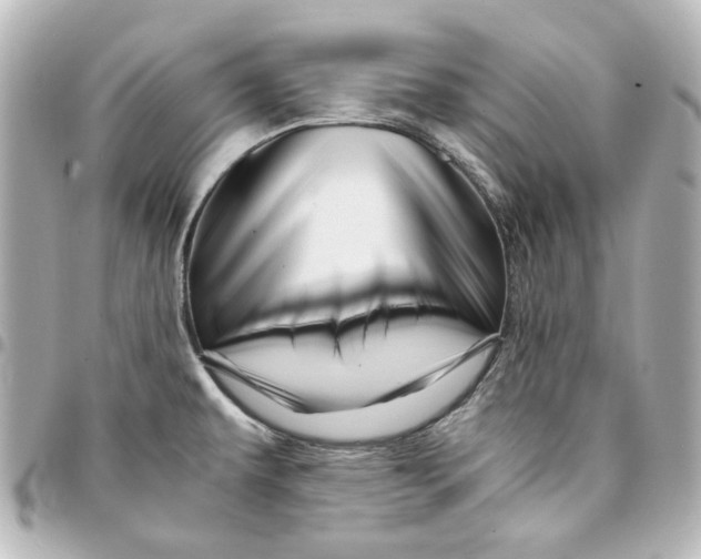 X0000094931479200712201041