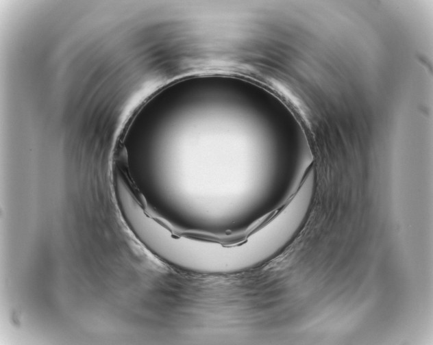 X0000094931480200712201041
