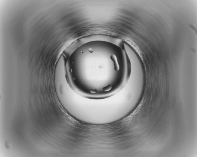 X0000094931481200712201041