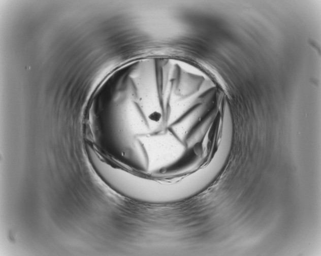 X0000094931483200712201041