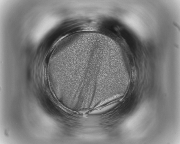 X0000094931487200712201041