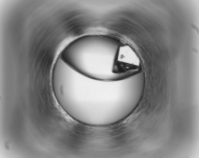 X0000094931488200712201041