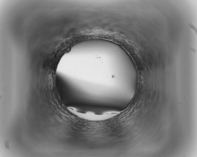 X0000094931493200712201041