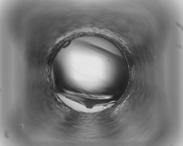 X0000094931494200712201041