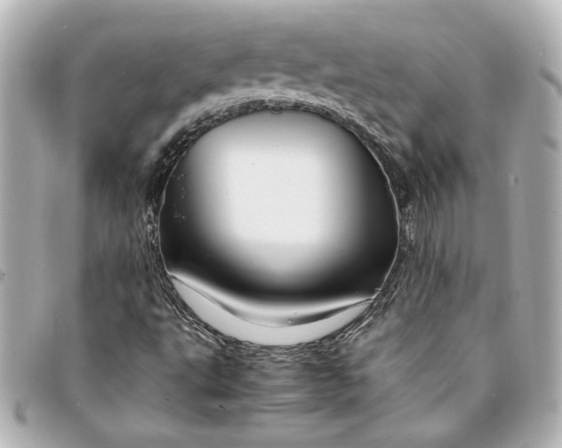 X0000094931495200712201041