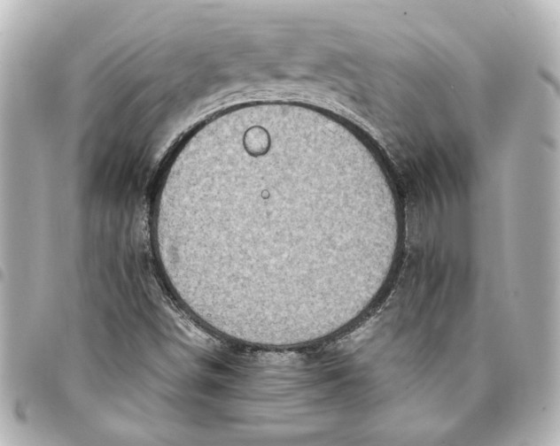 X0000094931498200712201041