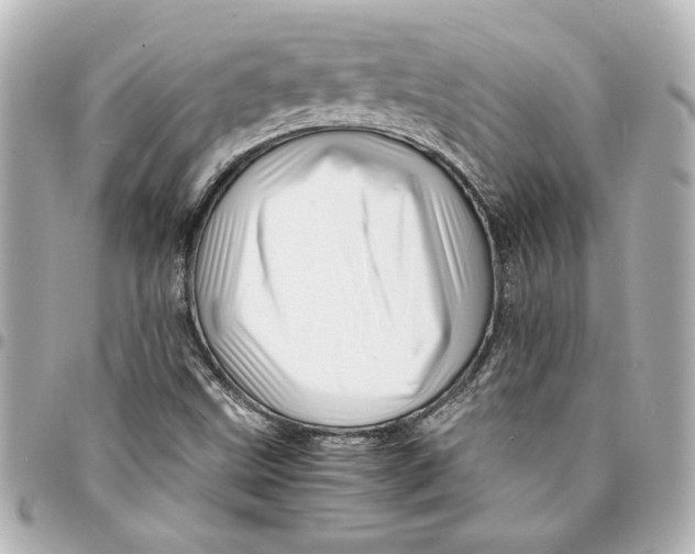 X0000094931499200712201041