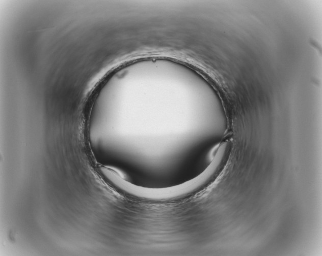 X0000094931502200712201041