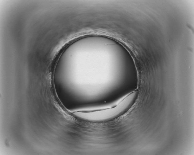 X0000094931503200712201041