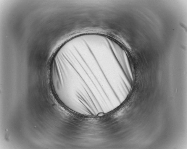 X0000094931504200712201041