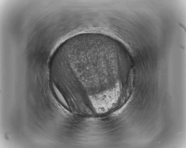 X0000094931506200712201041