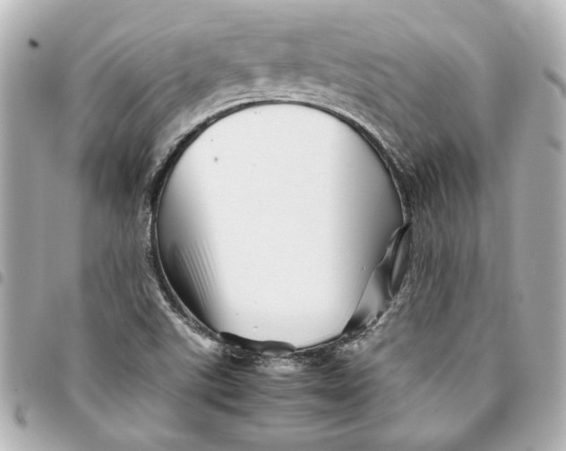 X0000094931507200712201041