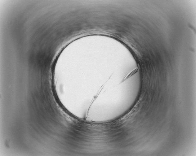 X0000094931508200712201041